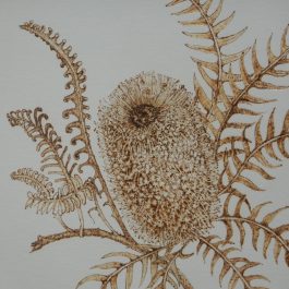 Banksia Study I